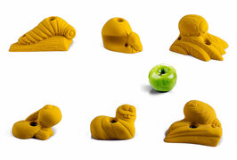 klimwand beestjes: serie bugs – maat m – set van 6 – in diverse kleuren 