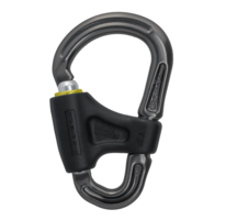 karabiner – dmm – belay master